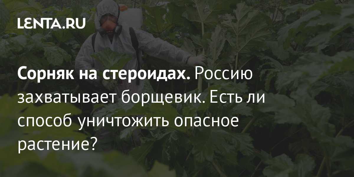 Задание 15 егэ-2015 - ольга владимировна новошинцева