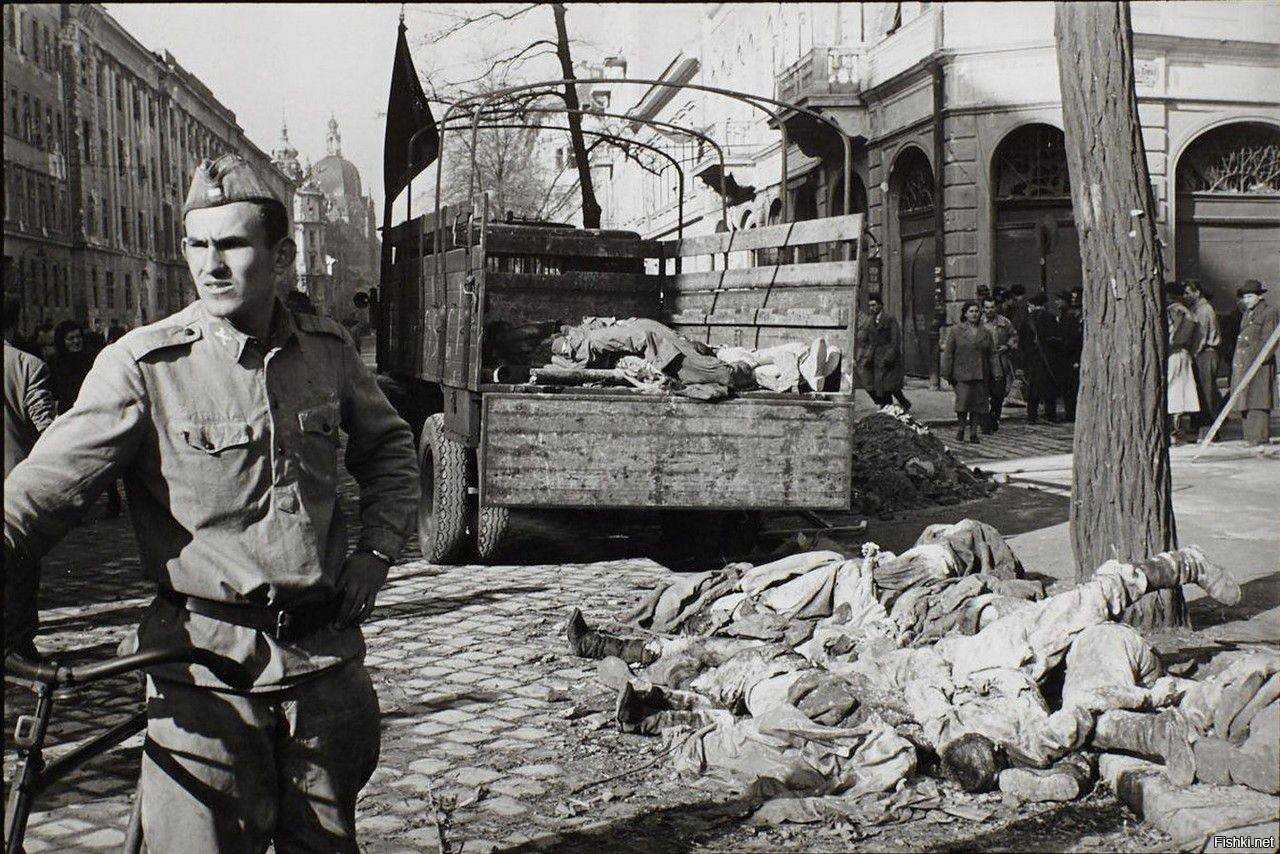 Каковы причины и последствия восстания в будапеште 4 ноября 1956 года — твой новосибирск