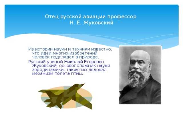 Жуковский николай егорович — краткая биография