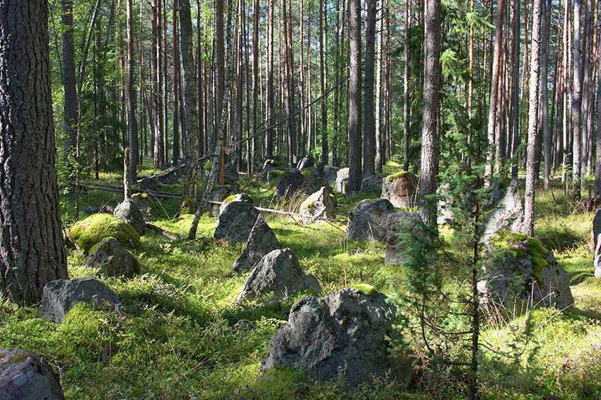 Советско-финская («зимняя») война (30 ноября 1939 г. — 13 марта 1940 г.)