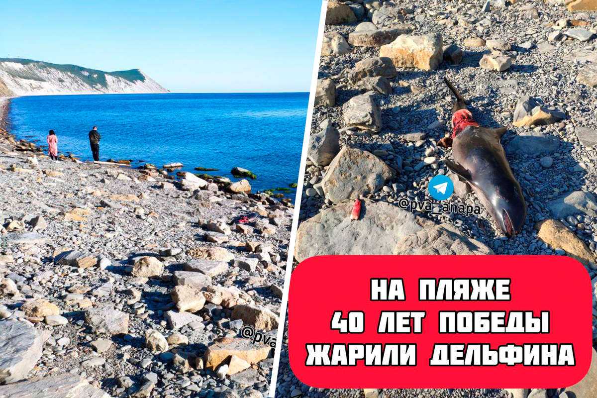 Кто правил римом после юлия цезаря — oh italia