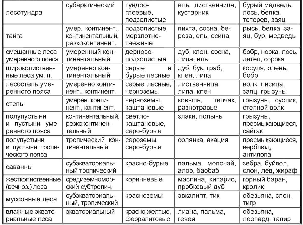 Экономико-географическое, транспортно-географическое и геополитическое положение россии 8 класс онлайн-подготовка на