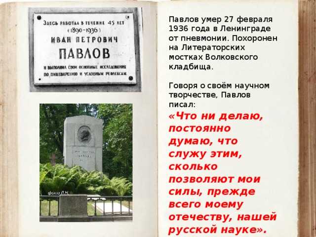 Академик павлов: любимый антисоветчик советской власти. павлов годы жизни и смерти
