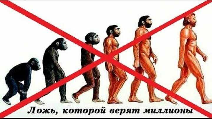 Что создал чарльз дарвин, история и список его изобретений и теорий