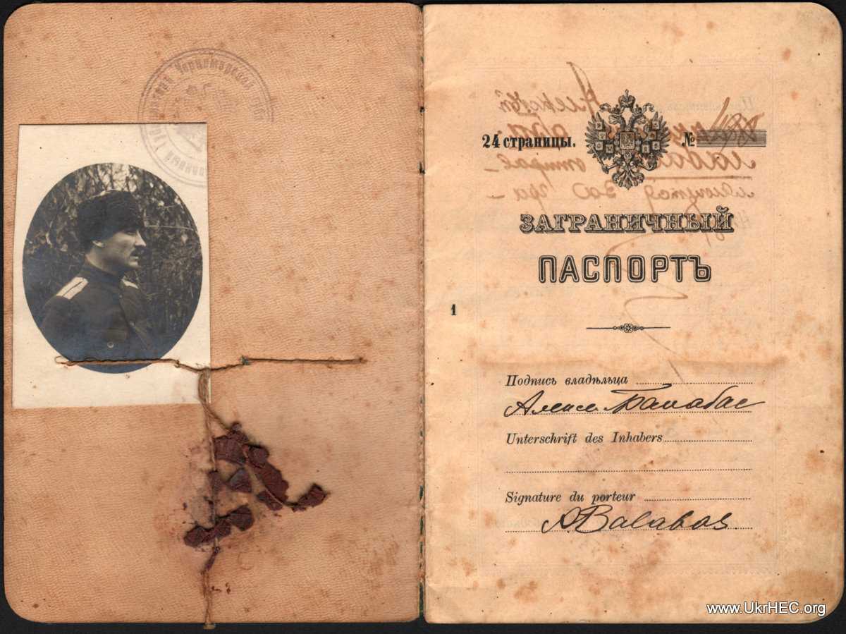 Презентация история и паспорт рф  доклад, проект