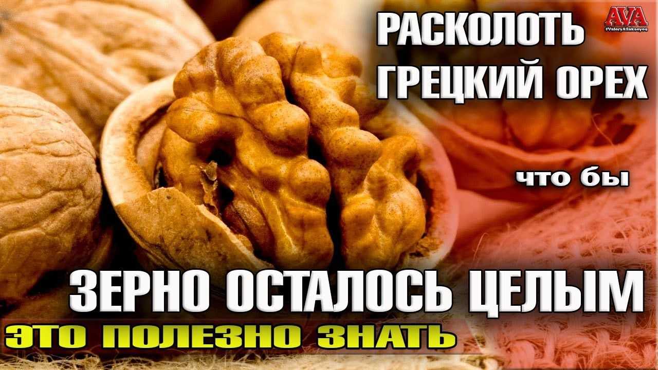 Военные конфликты, кампании и боевые действия русских войск 860–1914 гг.