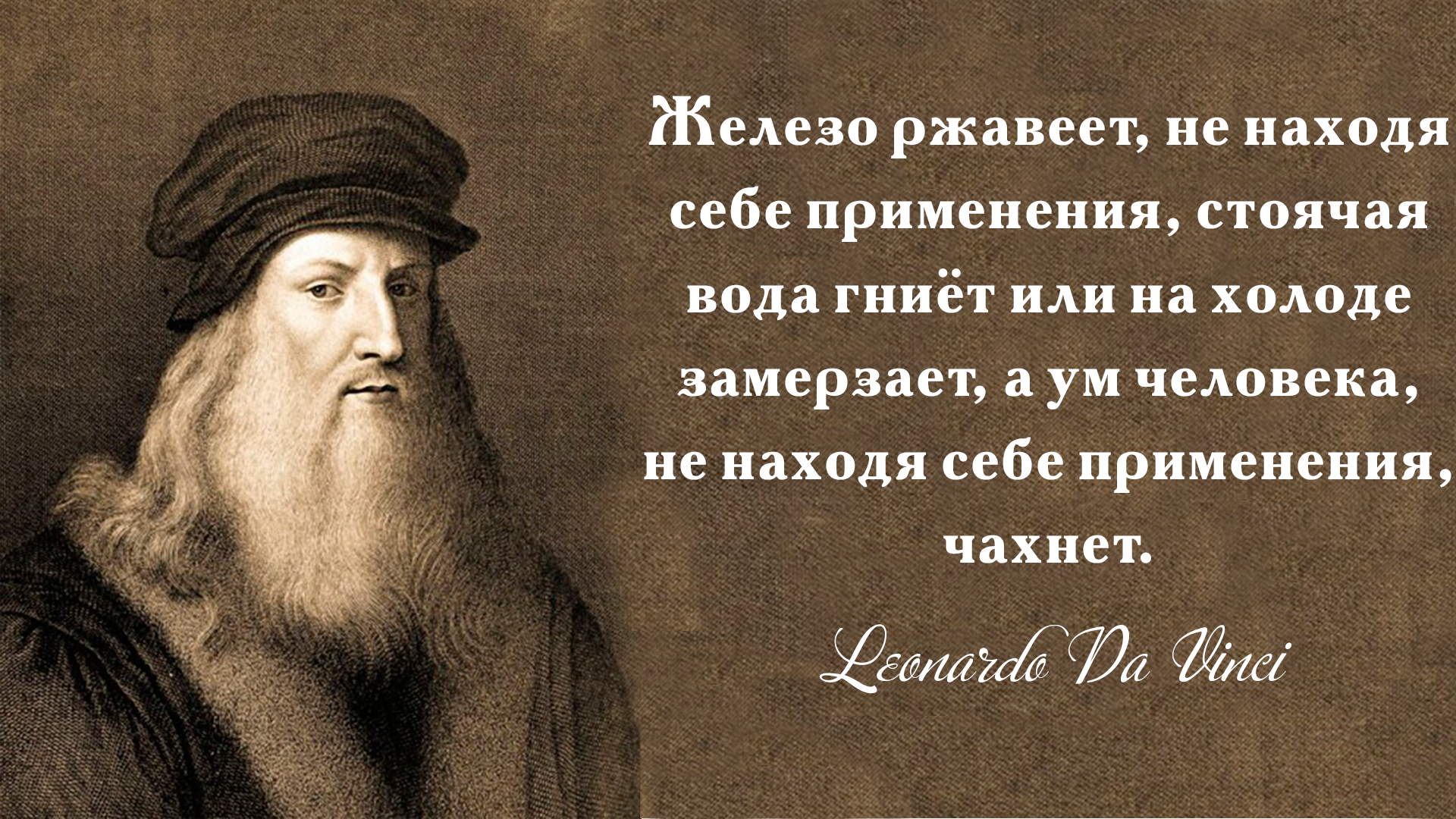15 удивительных фактов, о которых вы, вероятно, никогда не задумывались
