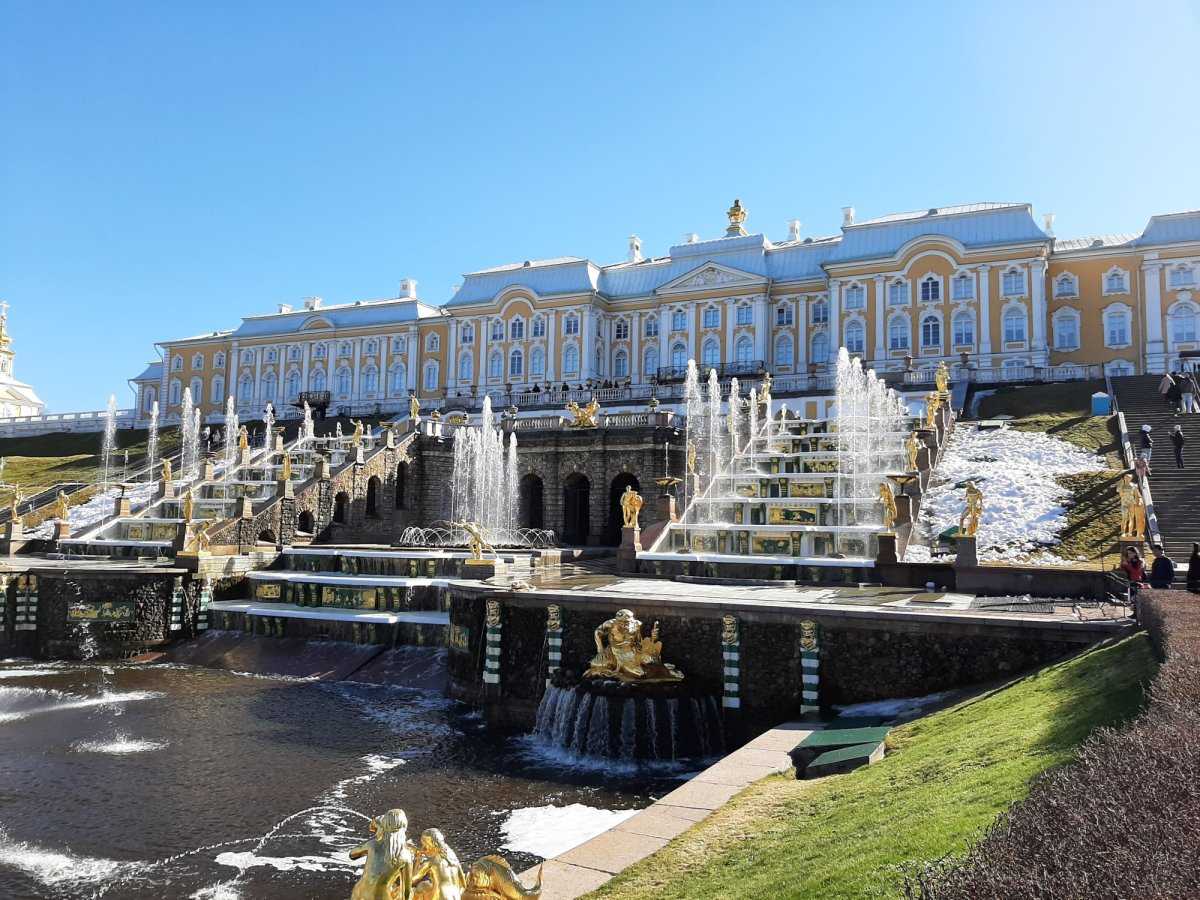 Любимая сказка петра