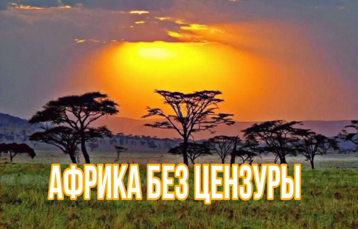 Путешествия к сердцу африки