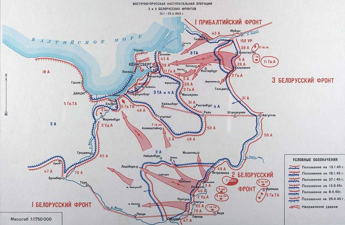 Восточно-прусская наступательная операция