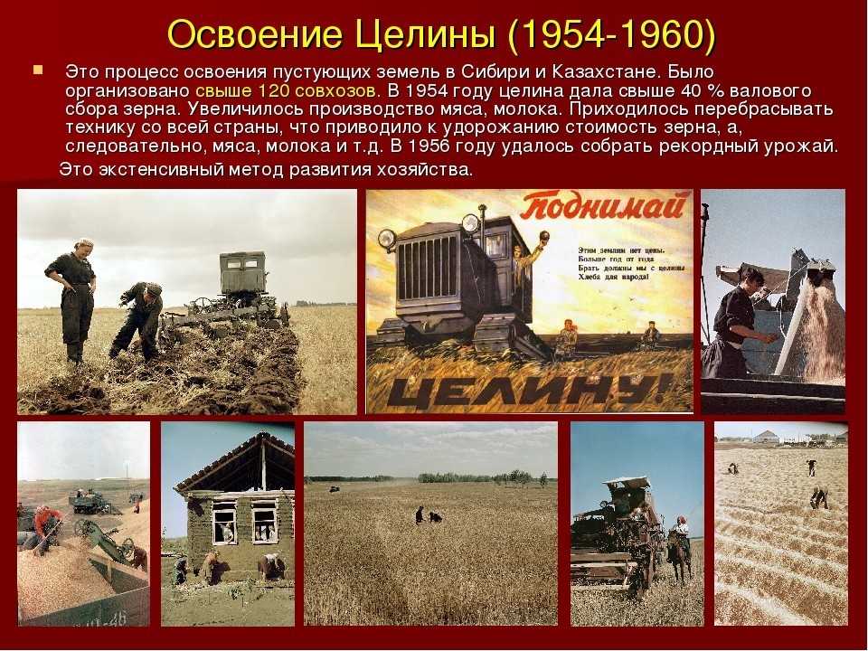 Проведите обсуждение следующих вопросов: какие проблемы существовали в 1950-е гг. в сельском хозяйстве - univerkov - образовательный сайт