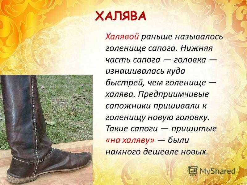 История возникновения слов