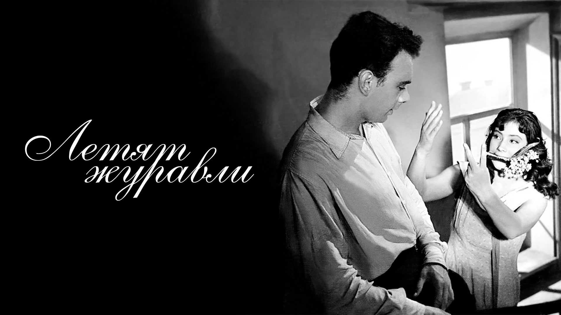 12 октября 1957 года на экраны кинотеатров вышла картина михаила калатозова «летят журавли»