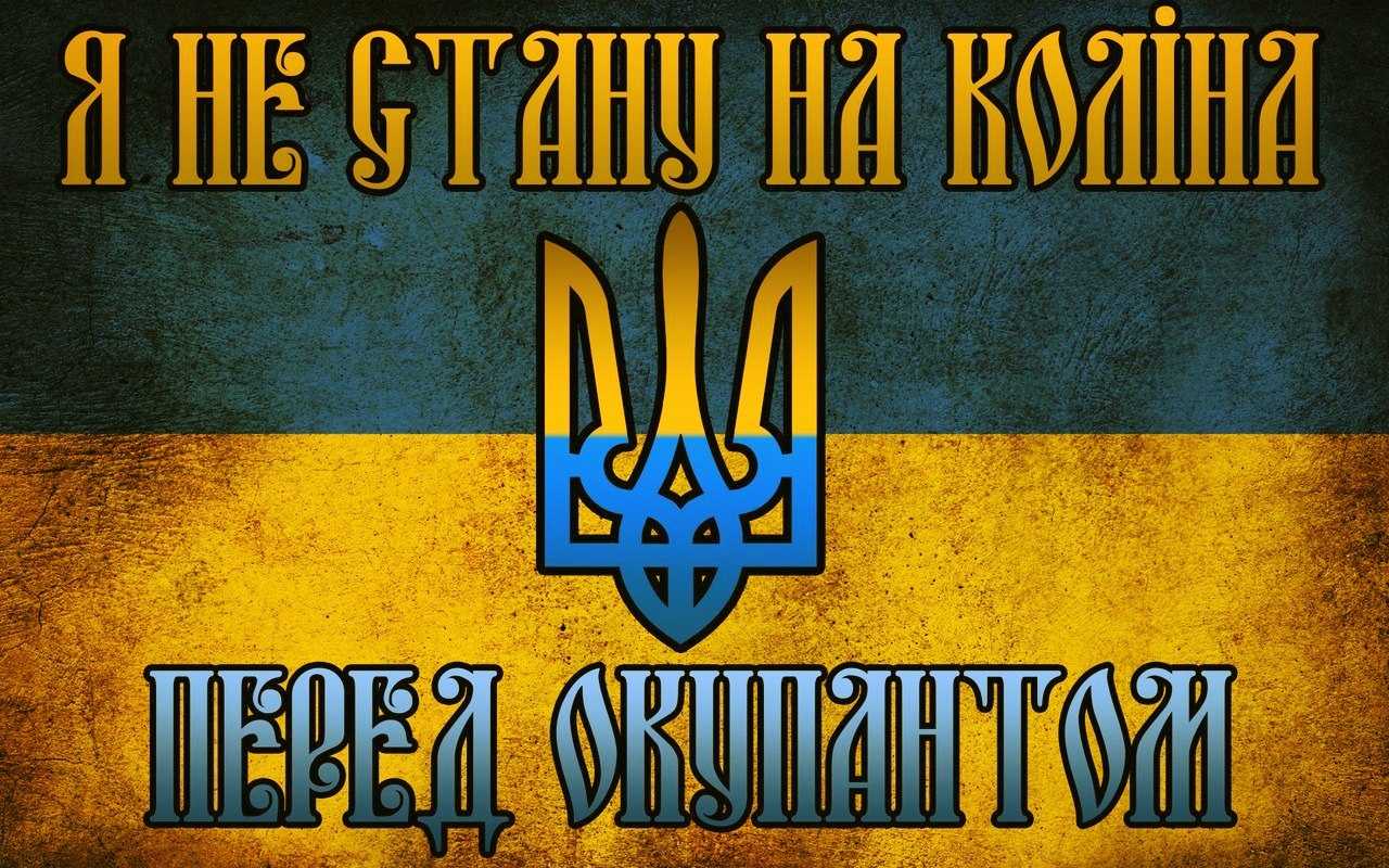 Слава украине, героям слава!
