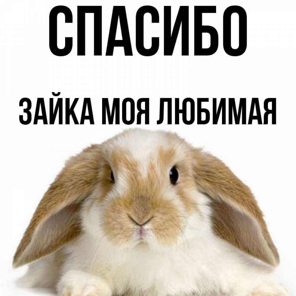 Характер человека по переписке в мессенджере: пунктуация, смайлики и длина сообщений