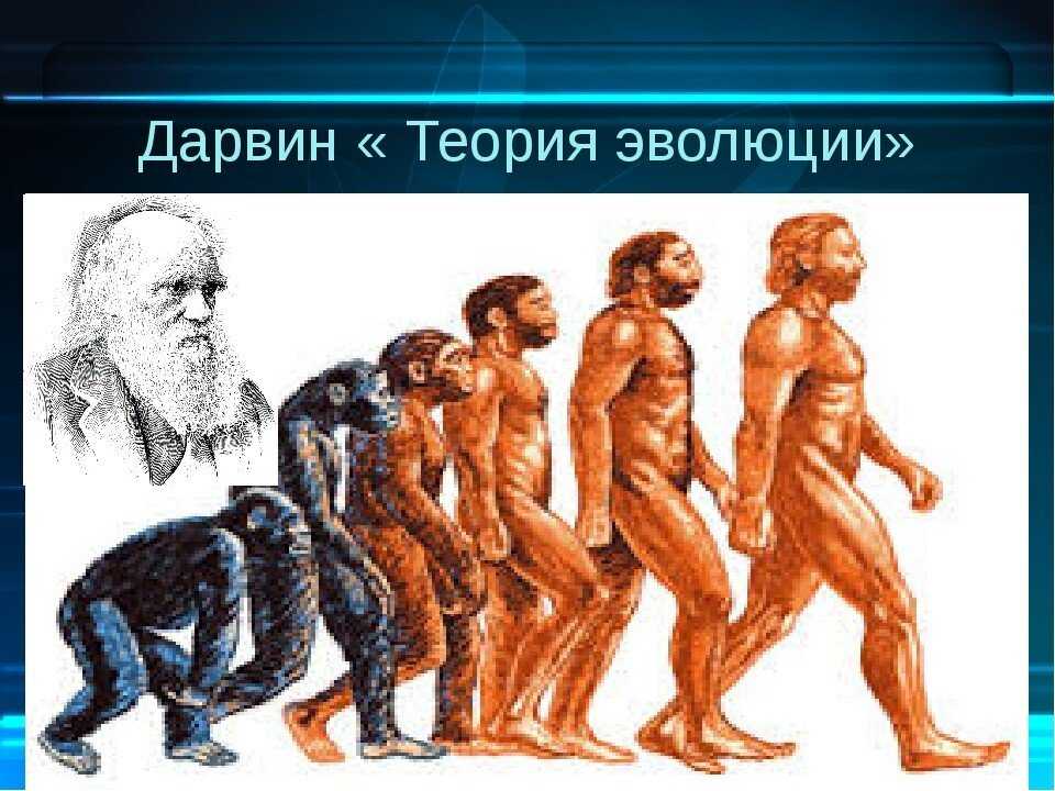 Чарлз дарвин - биография, новости, личная жизнь - stuki-druki.com