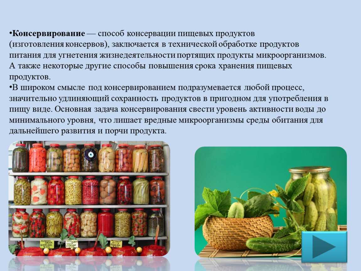 Avex • мясо во льдах: ученые попробовали 100-летние консервы