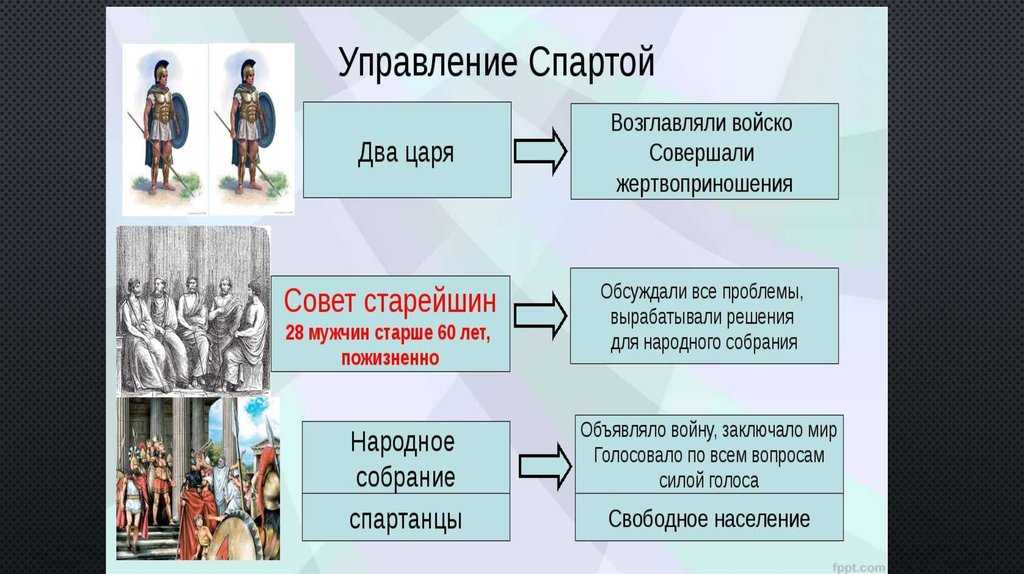 История спарты в viii–vi веках до н.э. • образавр