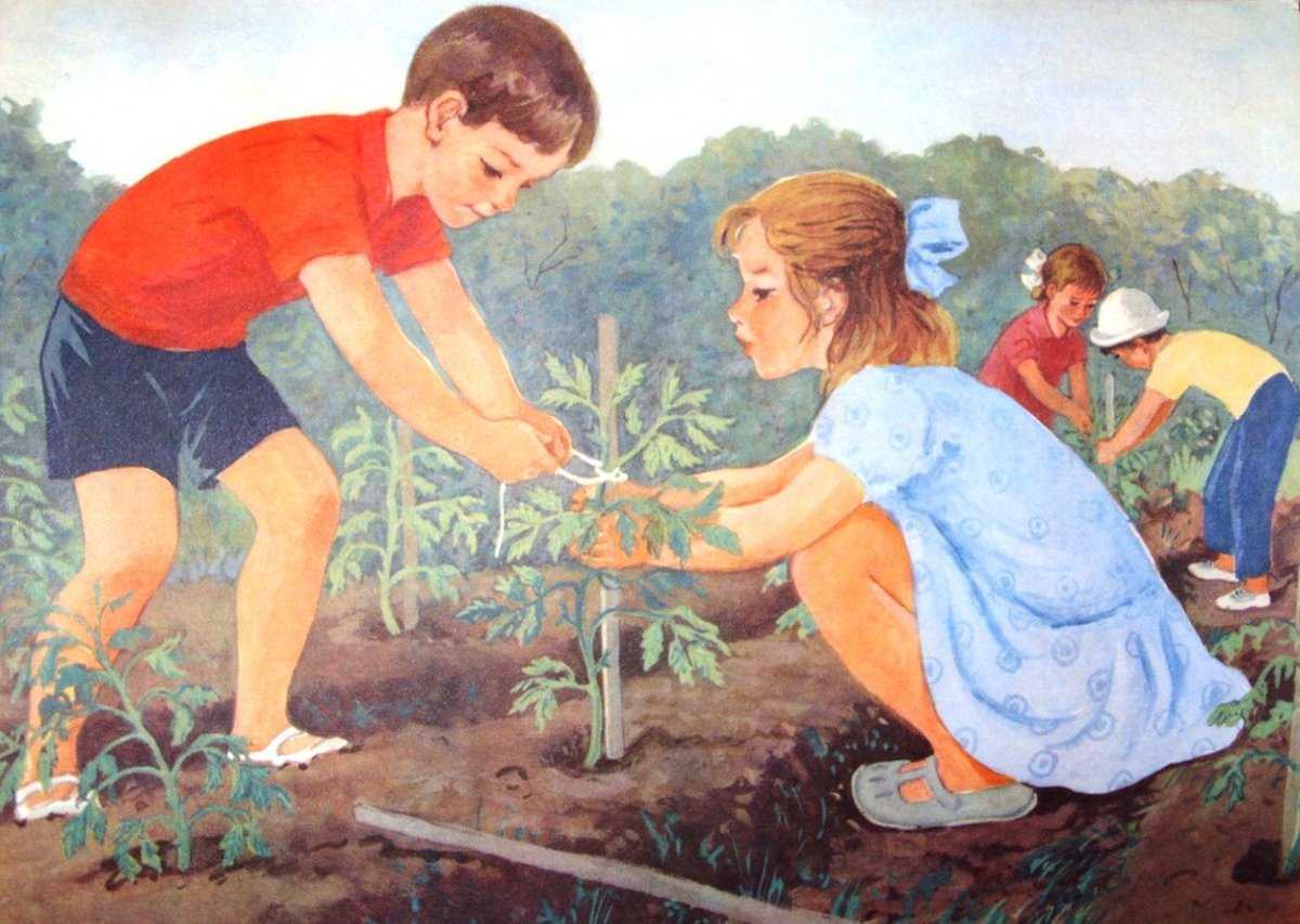 Мичурин - великий садовод. наследие мичурина - дом, сад-огород . florets.ru