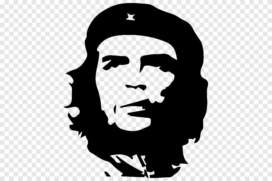 Эрнесто че гевара биография. 20 фактов об эрнесто "че" геваре. | интересные факты
