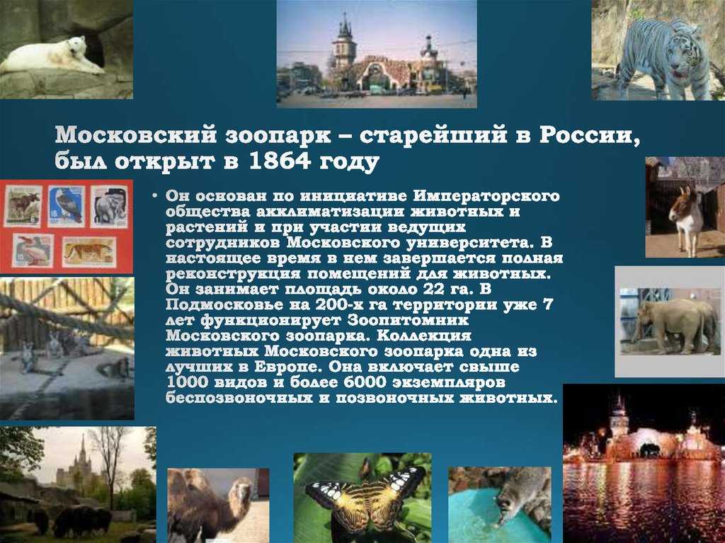 Читать сказку шанго и снадобье эшу - африканская сказка, онлайн бесплатно с иллюстрациями.