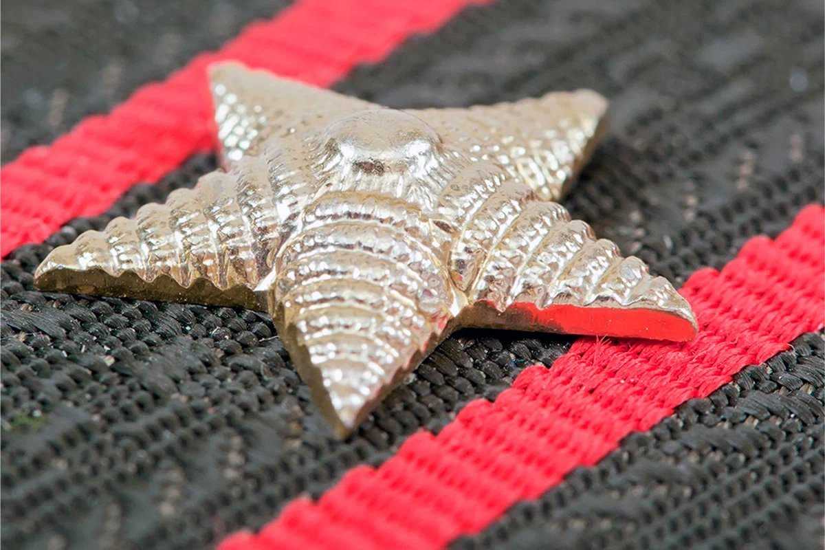 Звезды на погоны и денежные премии — за военный парад…