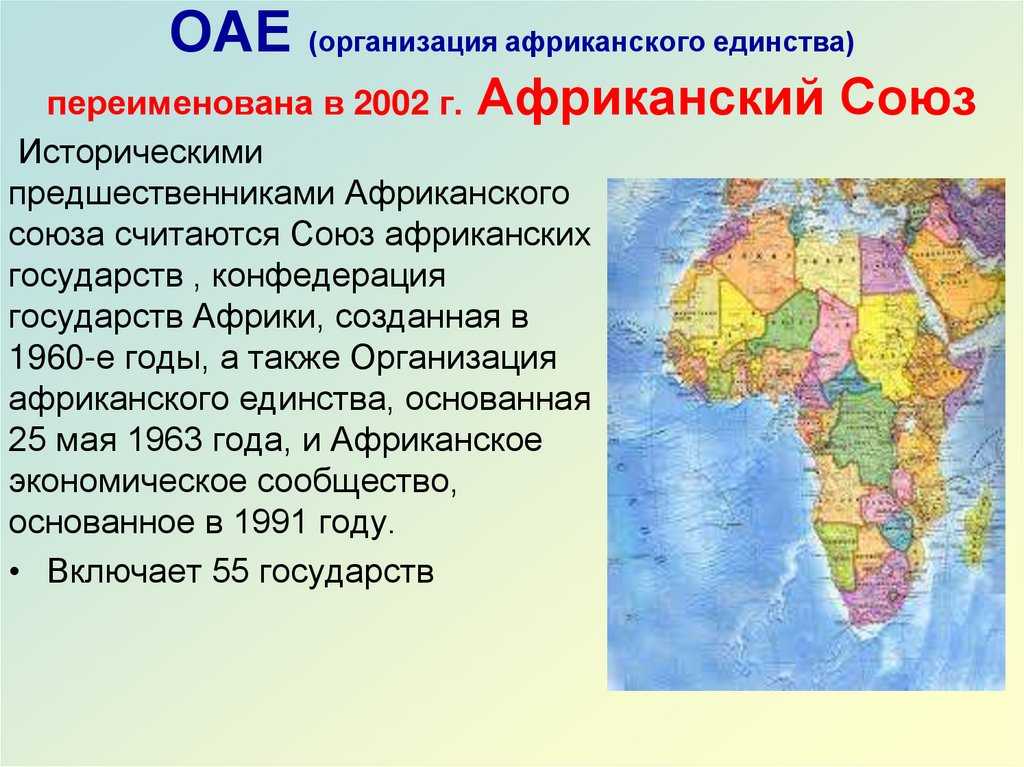 День африки: удивительные факты о континенте жизни