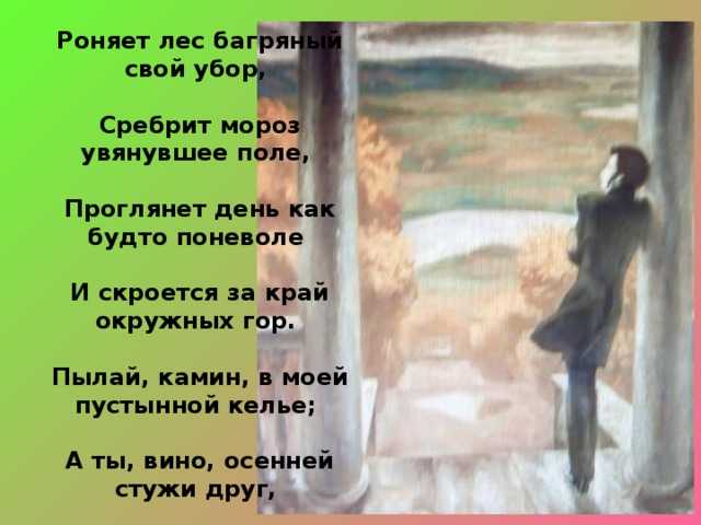 День лицеиста в 2021 году в россии: дата, история праздника — дни и даты