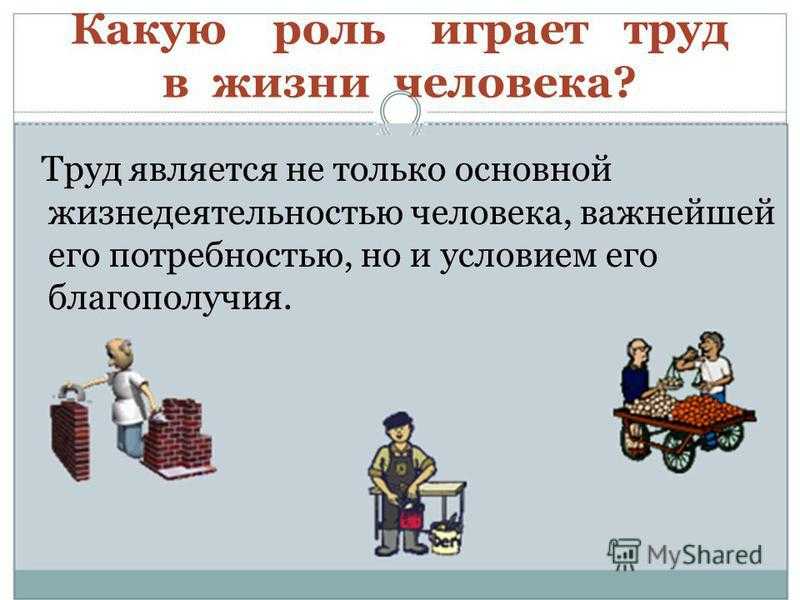 Селекция по мичурину коротко но ясно. мичурин. сад его жизни при разных режимах. iv. домашнее задание