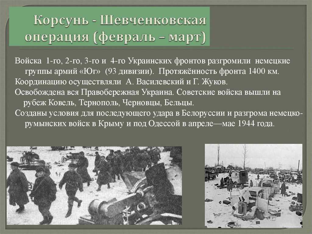Белорусская операция «багратион»: уроки истории