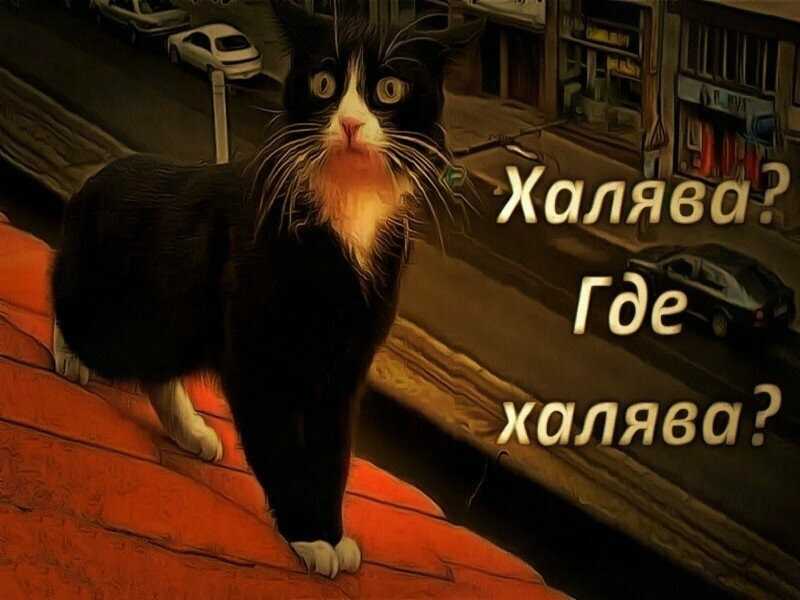 Но что такое халява на самом деле?