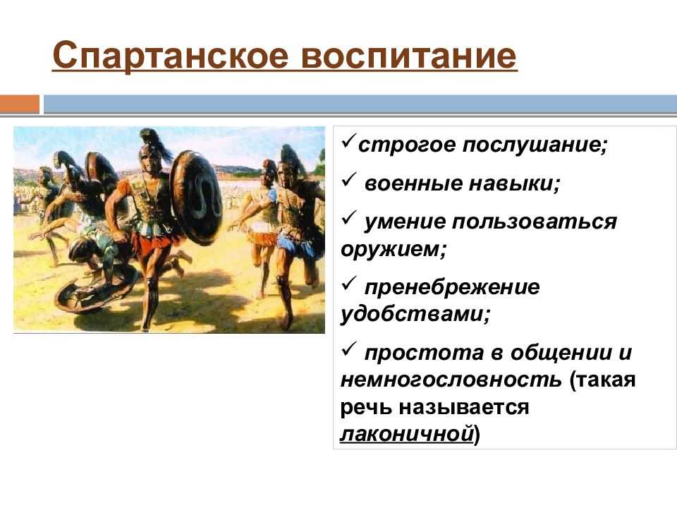 Древняя спарта: странные подробности жизни спартанцев