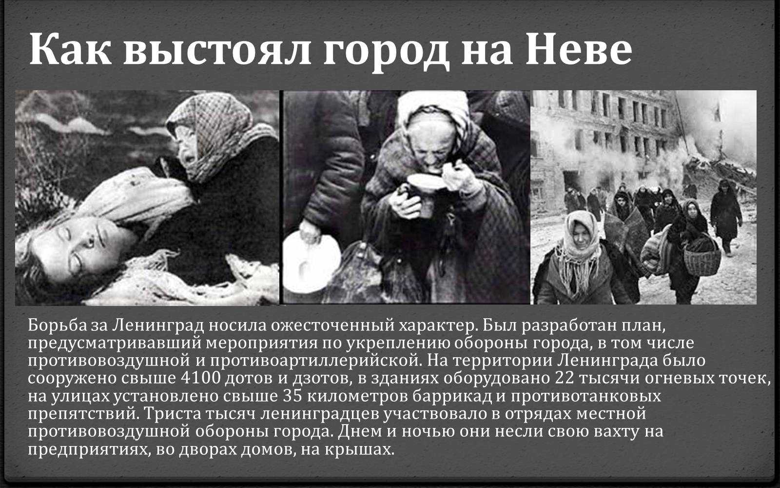 Блокада ленинграда: правда против мифов