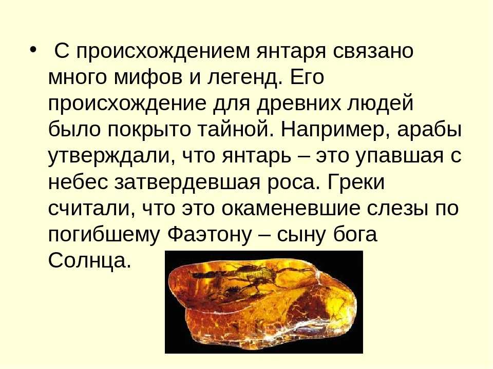 Следы янтарной комнаты нашли в калининграде