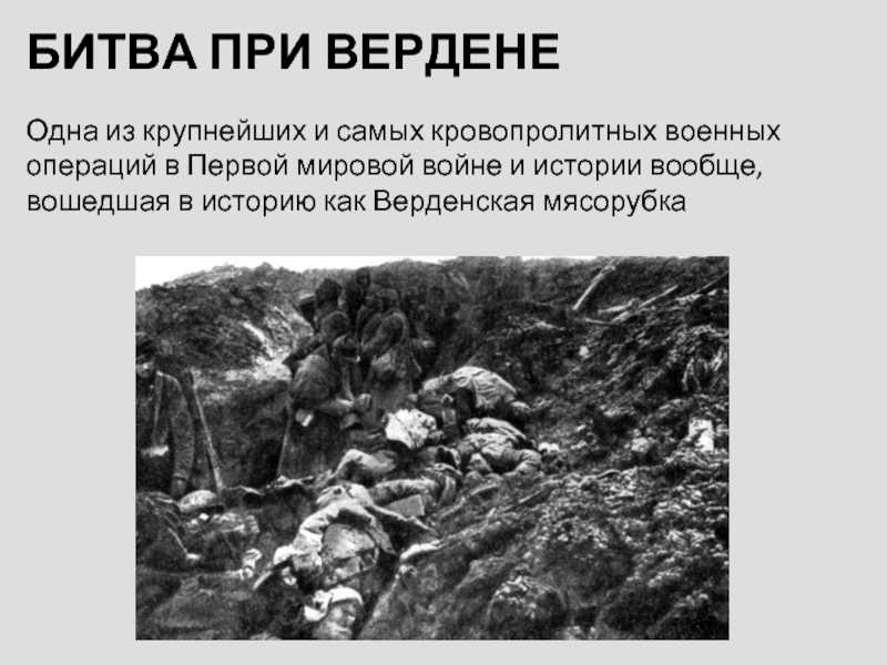 Голубиная почта, танки, доспехи и газ: первая мировая война в фактах
