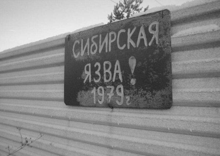 Откуда взялся коронавирус? искусственное происхождение covid-19 — биологического оружия
