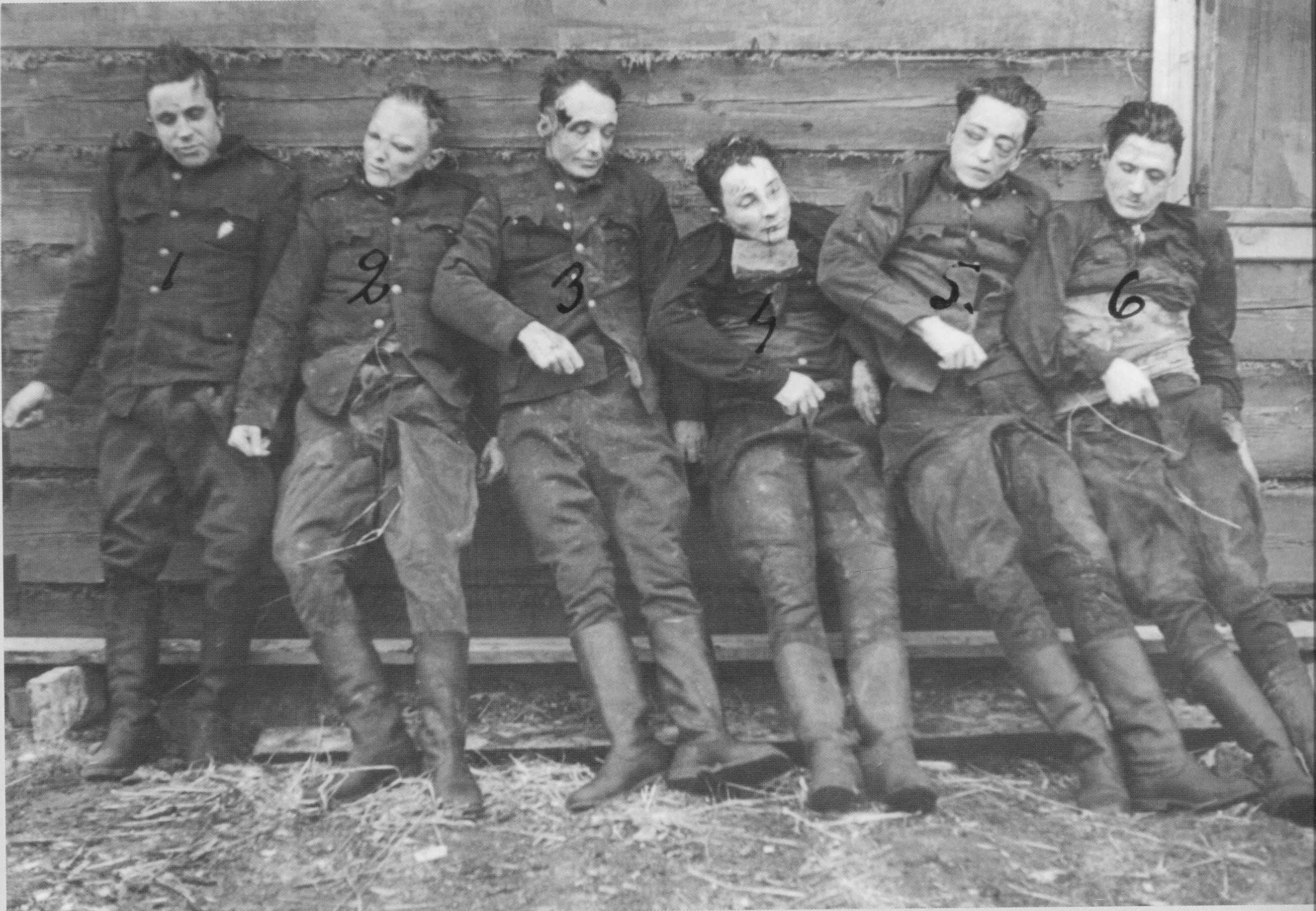 Зондеркоманда. жертвы или пособники. зондеркоманда ss "группа кюнсберг" киев. варварство в киево-печерской лавре
