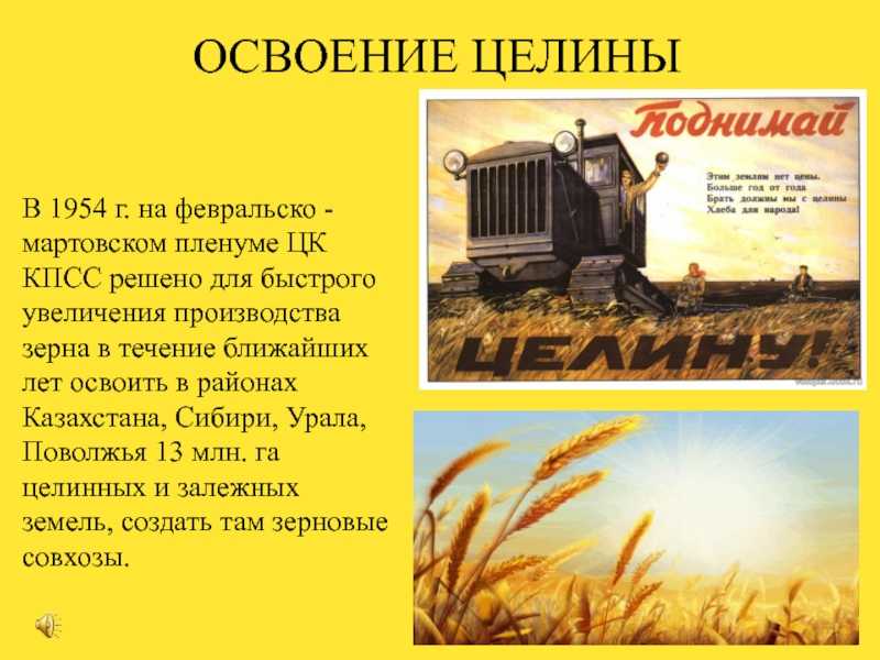 Освоение целины