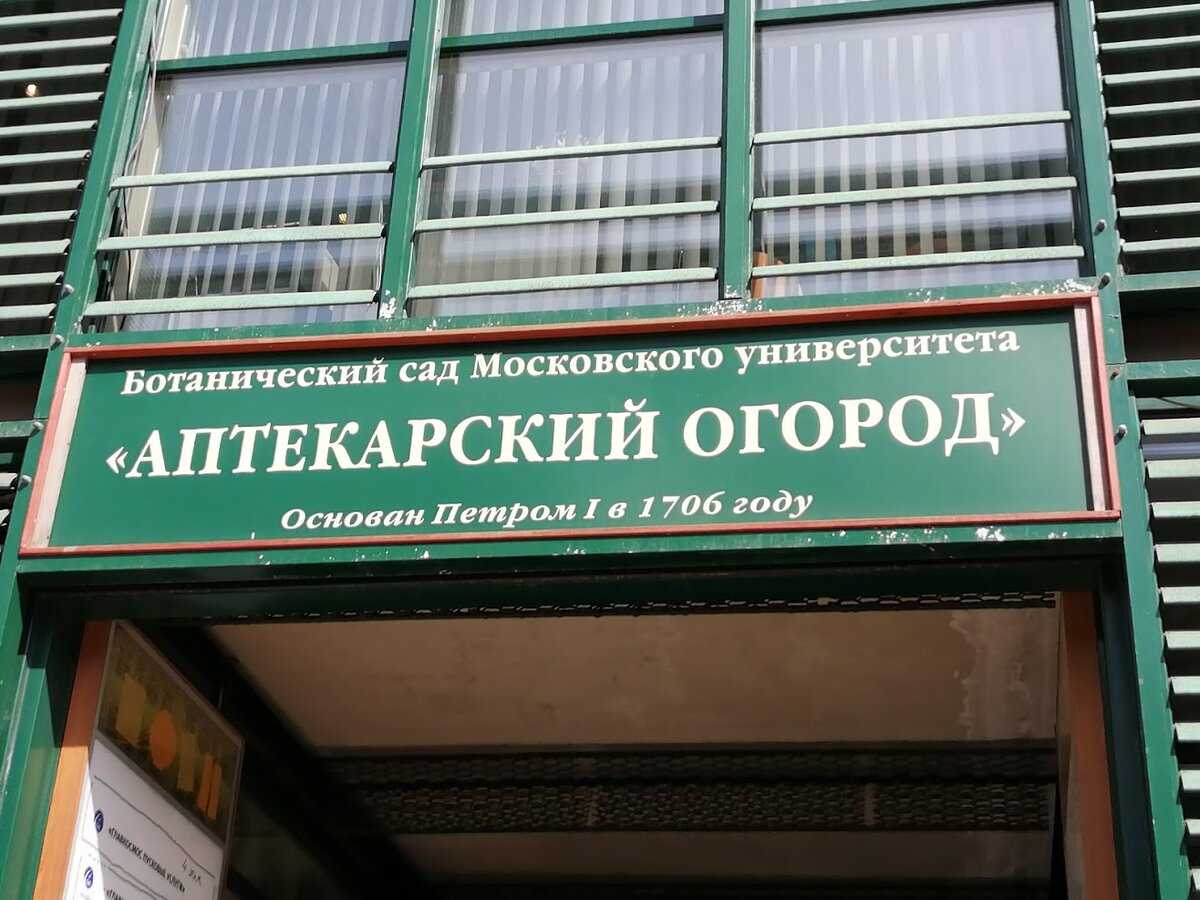 Аптекарский огород – от петра i до наших дней – так удобно!  traveltu.ru