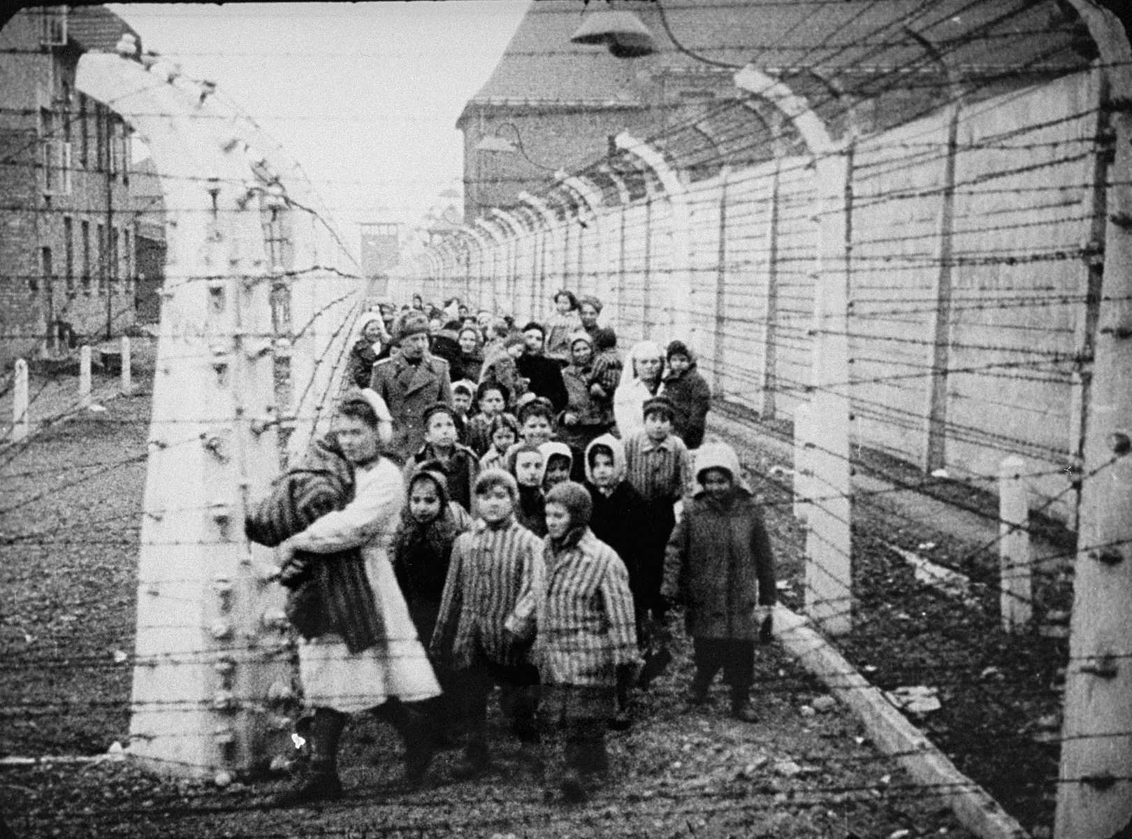 Освенцим: воспоминания очевидцев лагеря смерти