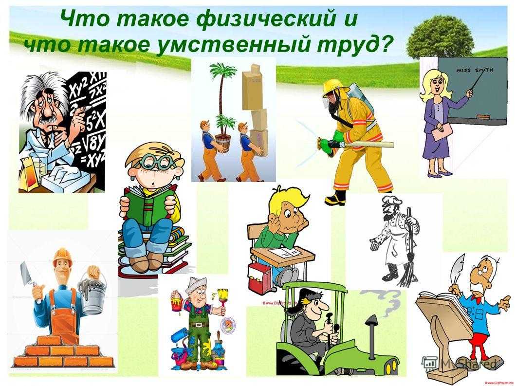 И в мичурин научные работы. мичурин. сад его жизни при разных режимах. биография выдающегося селекционера