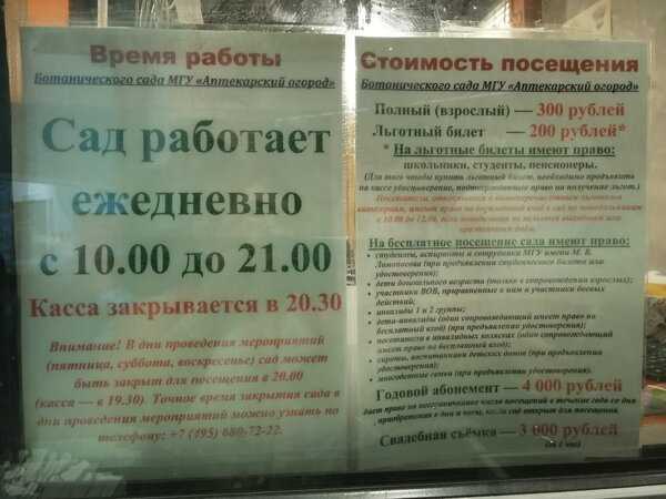 Одним из крупнейших проектов по благоустройству Москвы стала программа Моя улица в рамках которой в том числе были проведены масштабные работы по озеленению столичных каменных джунглей Тысячи деревьев и кустарников появились в столице