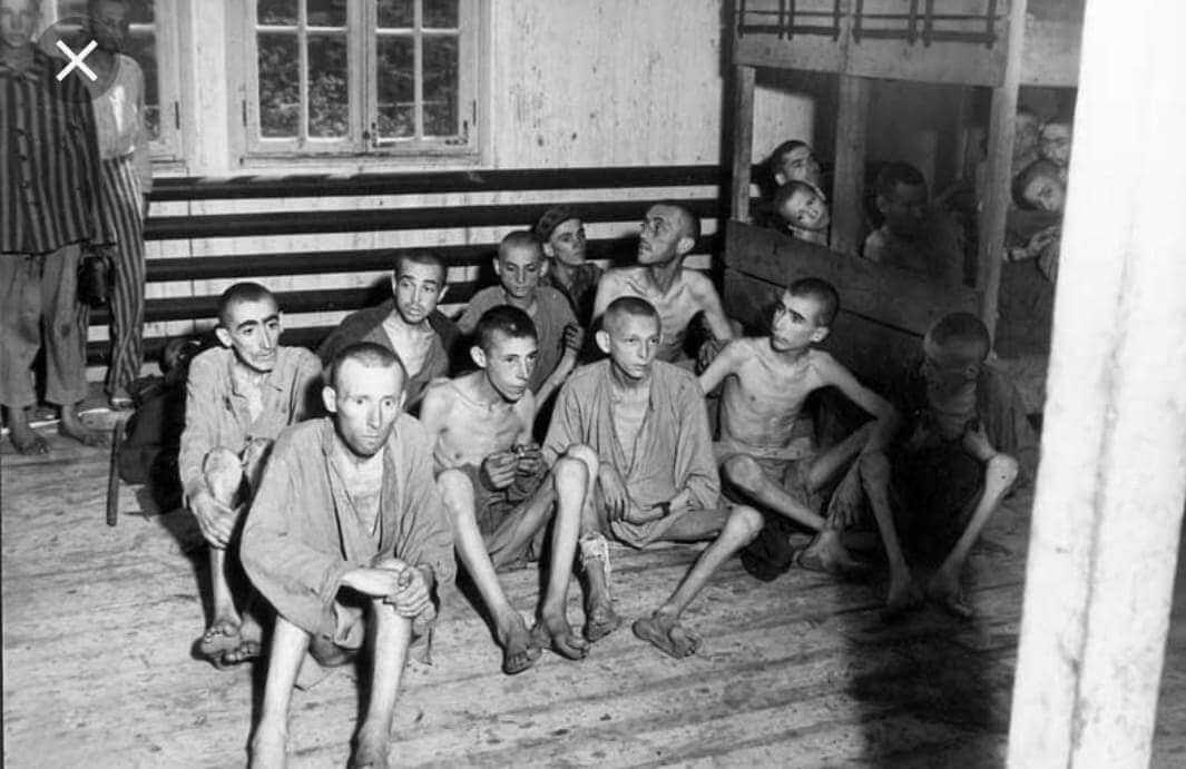 Освенцим – место, где под запретом слово «жизнь» | читать статьи по истории рф для школьников и студентов