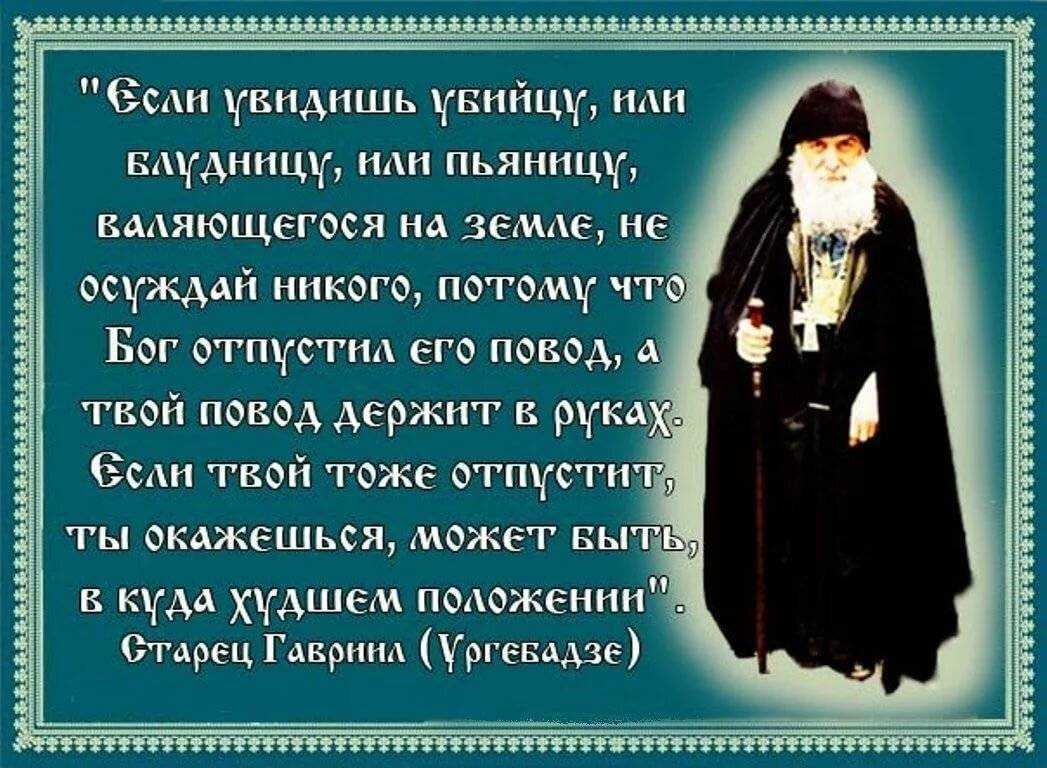 Движущие силы эволюции: наследственность, изменчивость, борьба за существование и естественный отбор 9 класс