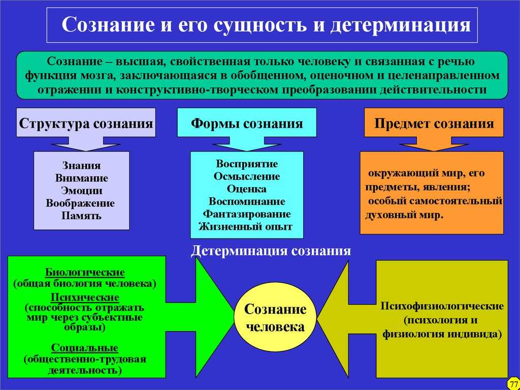 Важное место в системе познания мира занимает изучение человечеством самого себя своих собственных разнообразных связей отношений характеристик общественной жизни Историческое познание как форма социальной рефлексии имеет важную особенность кот