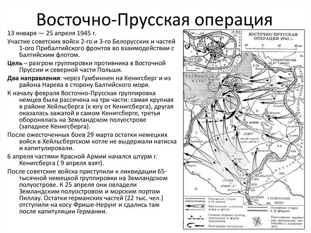 Насколько корректно сравнить «специальную военную операцию» и «великую отечественную войну»