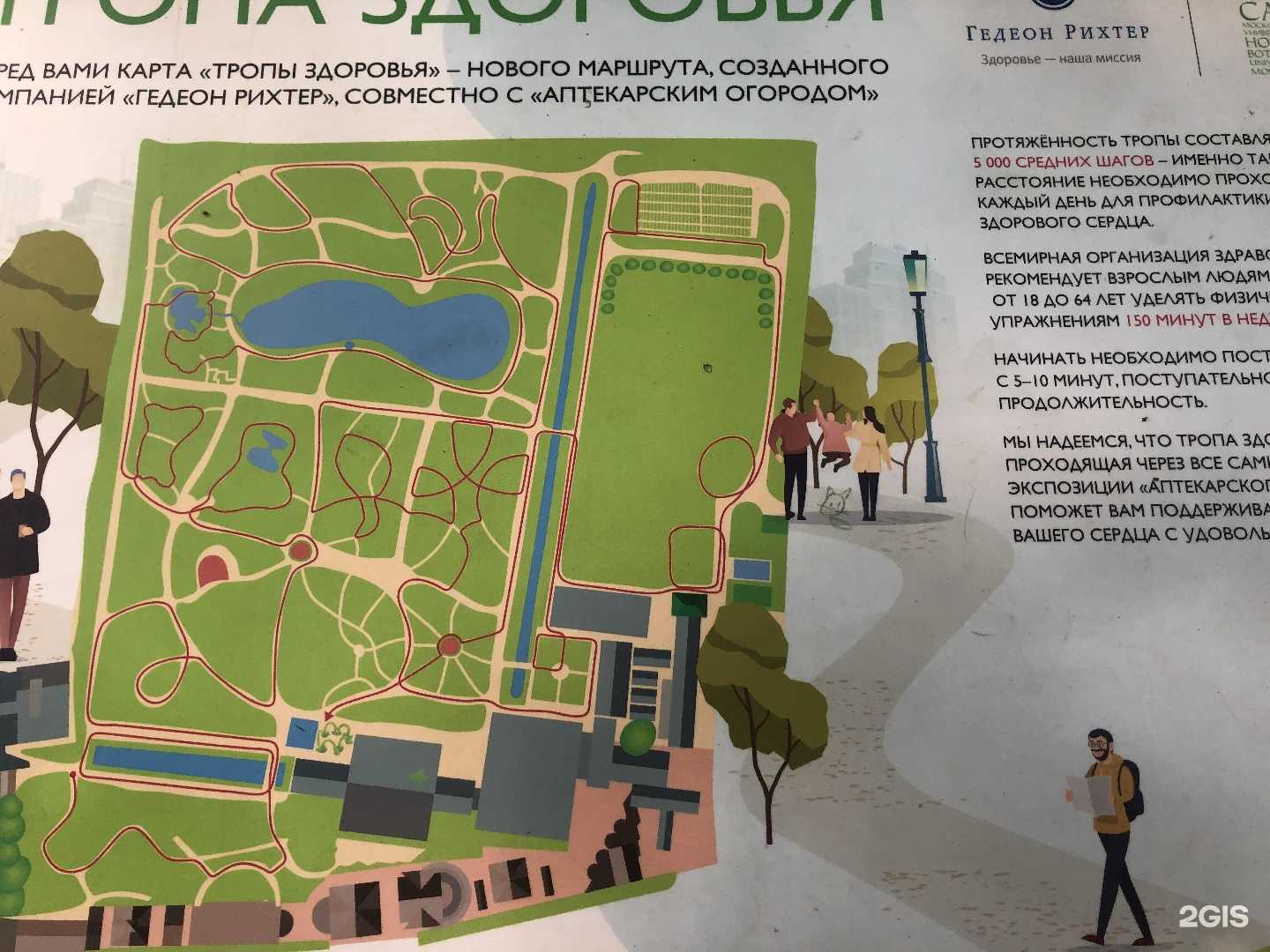 Ботанический сад мгу "аптекарский огород"