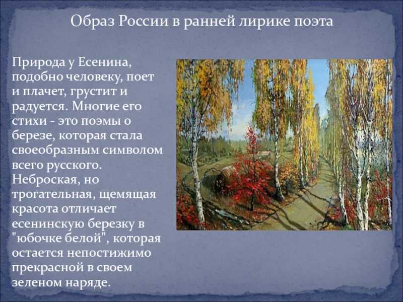 Государство в государстве: марковская республика - история.рф  - 31 октября - медиаплатформа миртесен
