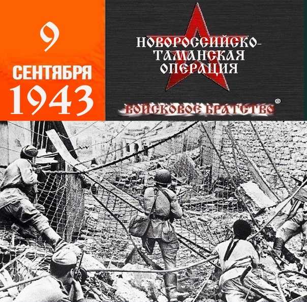 Новороссийская операция (1943)