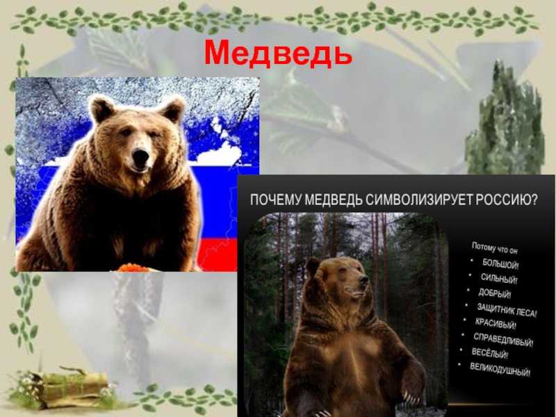 Почему именно медведь стал символом россии